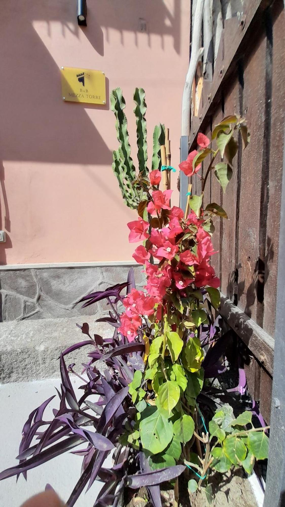 Mezza Torre B&B Procida Exterior photo